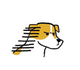 Jack Russell Terrier<Dog breed> sticker #15005961