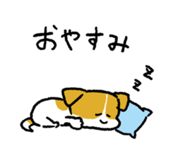 Jack Russell Terrier<Dog breed> sticker #15005964