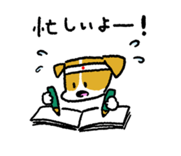 Jack Russell Terrier<Dog breed> sticker #15005974