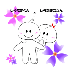 shiratama and shiratamako