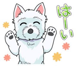 I Love Westie sticker #15012893