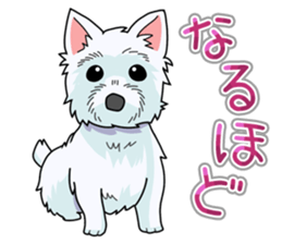 I Love Westie sticker #15012914