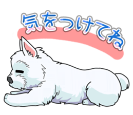 I Love Westie sticker #15012917