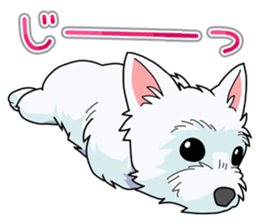 I Love Westie sticker #15012918