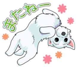 I Love Westie sticker #15012931