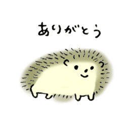 Hedgehog's name is Nakatsukasa sticker #15013584