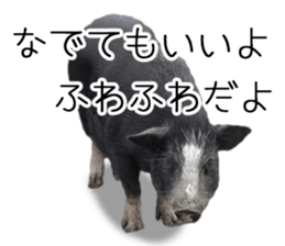 Negative pigs sticker #15014806