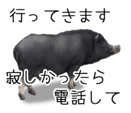 Negative pigs sticker #15014808