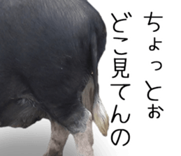 Negative pigs sticker #15014809