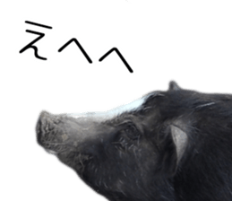 Negative pigs sticker #15014812