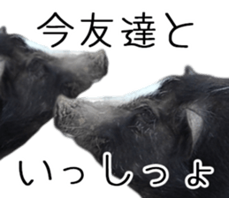 Negative pigs sticker #15014814