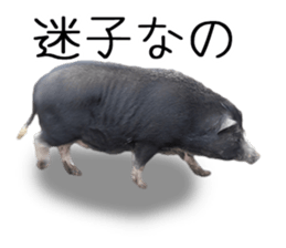 Negative pigs sticker #15014815