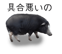 Negative pigs sticker #15014818