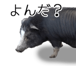 Negative pigs sticker #15014821