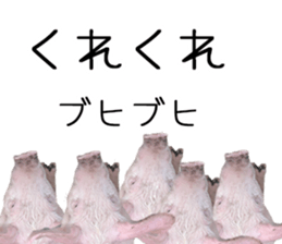 Negative pigs sticker #15014826