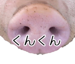 Negative pigs sticker #15014828