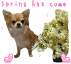 Sticker of Cereza 10 sticker #15016641