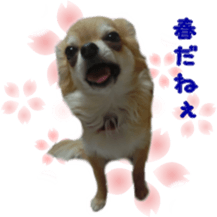 Sticker of Cereza 10 sticker #15016642