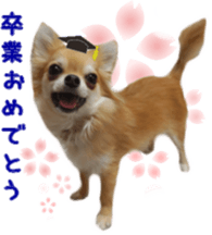 Sticker of Cereza 10 sticker #15016645