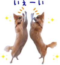 Sticker of Cereza 10 sticker #15016651