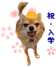 Sticker of Cereza 10 sticker #15016654