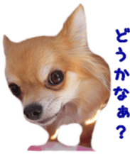 Sticker of Cereza 10 sticker #15016660