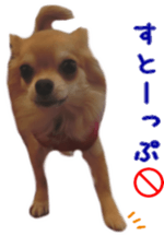 Sticker of Cereza 10 sticker #15016662