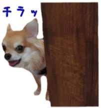 Sticker of Cereza 10 sticker #15016665