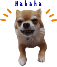 Sticker of Cereza 10 sticker #15016667