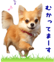 Sticker of Cereza 10 sticker #15016670