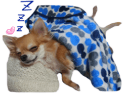 Sticker of Cereza 10 sticker #15016671