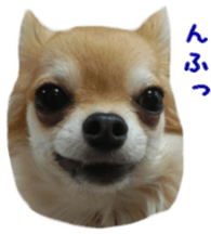 Sticker of Cereza 10 sticker #15016672