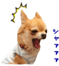 Sticker of Cereza 10 sticker #15016673