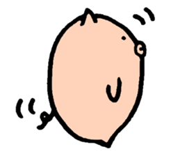 Bean pig sticker #15017258