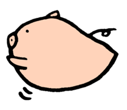 Bean pig sticker #15017260