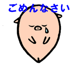 Bean pig sticker #15017269