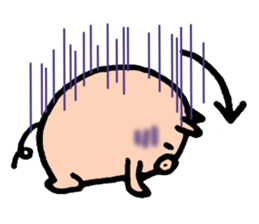 Bean pig sticker #15017278