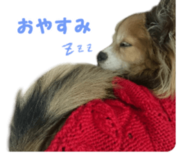 Uneven trio sticker #15018818