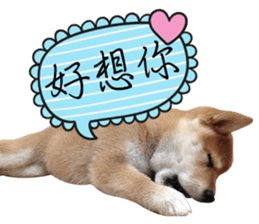 GIFAYE SHIBA INU FAMILY sticker #15019514