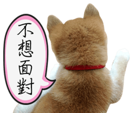 GIFAYE SHIBA INU FAMILY sticker #15019519