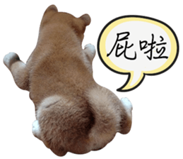 GIFAYE SHIBA INU FAMILY sticker #15019526
