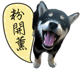 GIFAYE SHIBA INU FAMILY sticker #15019533