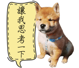 GIFAYE SHIBA INU FAMILY sticker #15019537