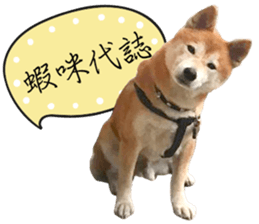 GIFAYE SHIBA INU FAMILY sticker #15019539