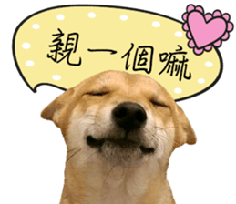 GIFAYE SHIBA INU FAMILY sticker #15019540