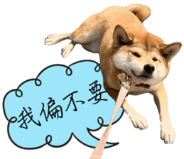 GIFAYE SHIBA INU FAMILY sticker #15019542