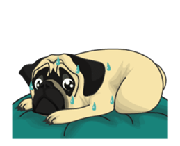 Fawn Pug Animated! sticker #15020219