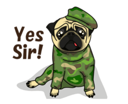 Fawn Pug Animated! sticker #15020227