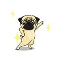 Fawn Pug Animated!