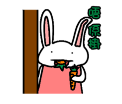 Ayou and Lunglung-40 icons of rabbit! sticker #15020664